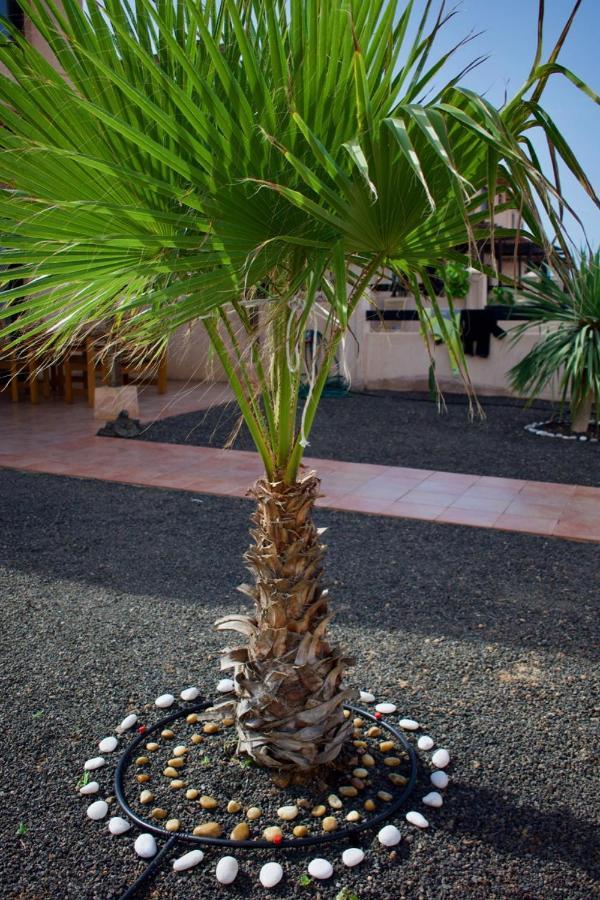 The Wind'S Breath, Perfect For Relaxing Getaway Villa La Oliva Exterior photo